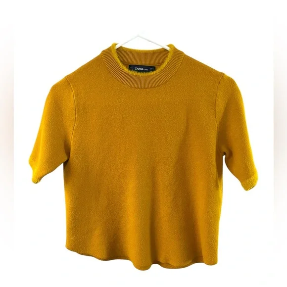 Zara Knit Mock Turtleneck Short Sleeve Sweater - Picture 1 of 5